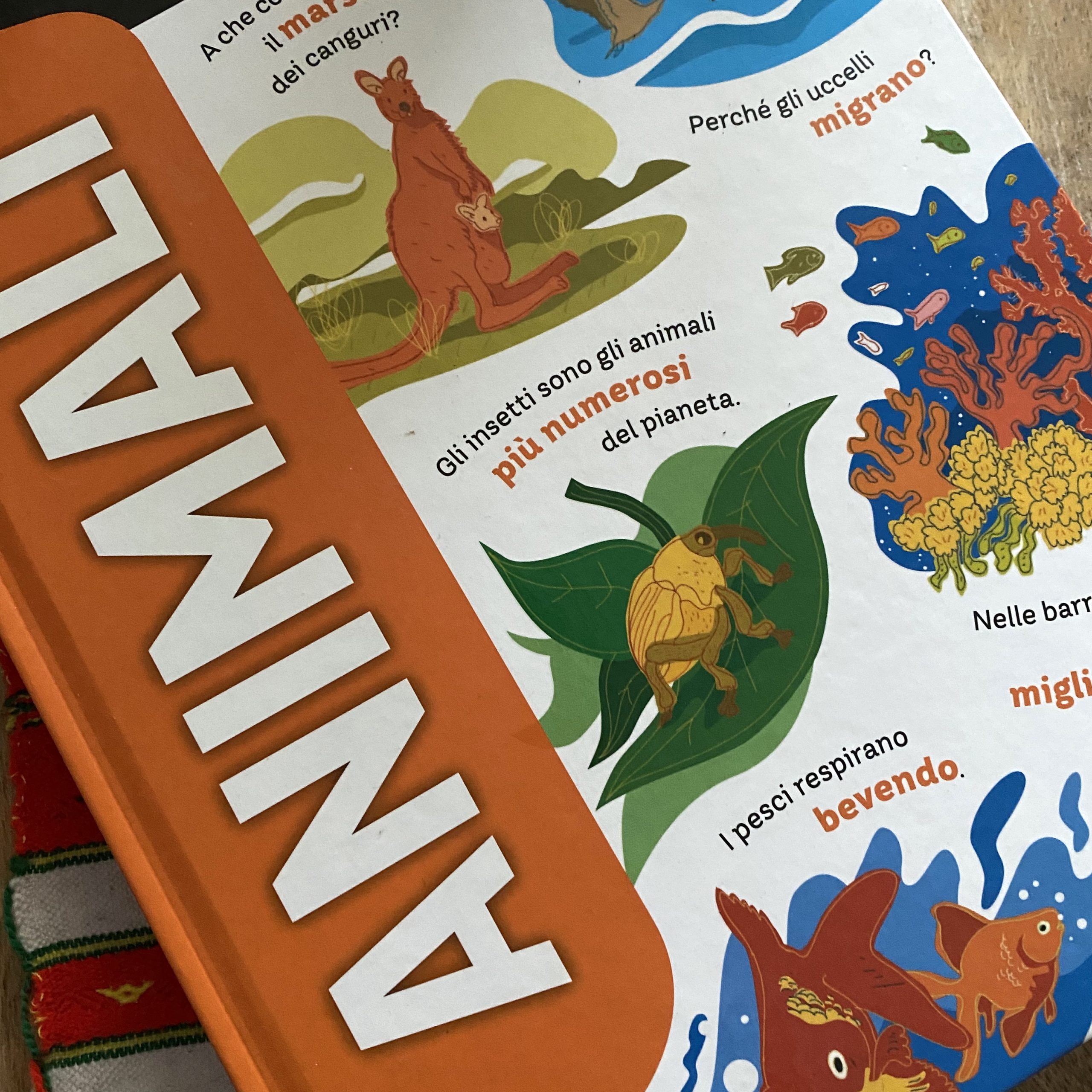 Animali, Editoriale Scienza, Lissoni Cristiano